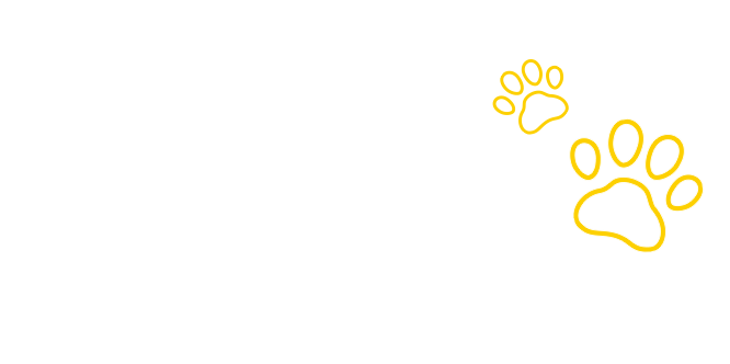 小型犬のトリミングも対応可能！